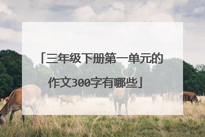 三年级下册第一单元的作文300字有哪些