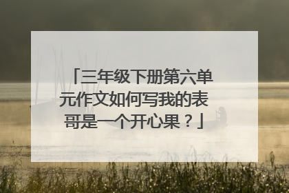 三年级下册第六单元作文如何写我的表哥是一个开心果?
