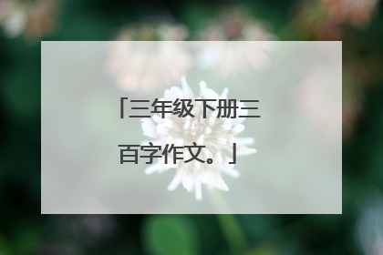 三年级下册三百字作文。