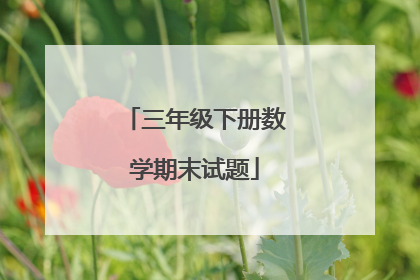 三年级下册数学期末试题