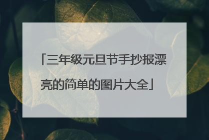 三年级元旦节手抄报漂亮的简单的图片大全