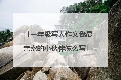 三年级写人作文我最亲密的小伙伴怎么写