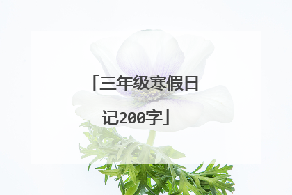 三年级寒假日记200字