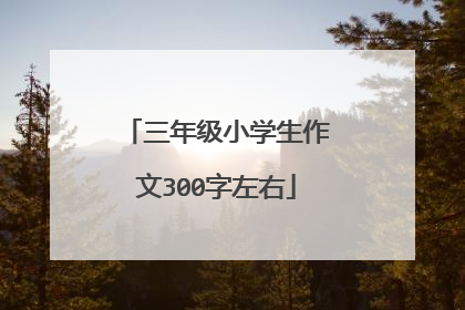 三年级小学生作文300字左右
