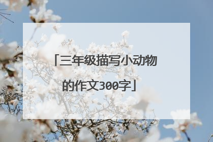 三年级描写小动物的作文300字