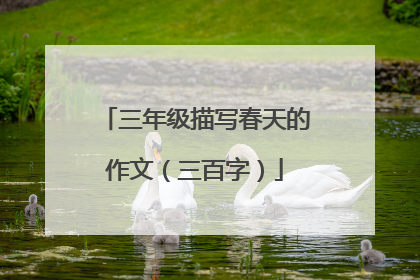 三年级描写春天的作文（三百字）