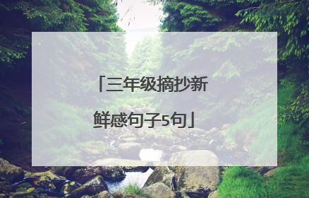 三年级摘抄新鲜感句子5句