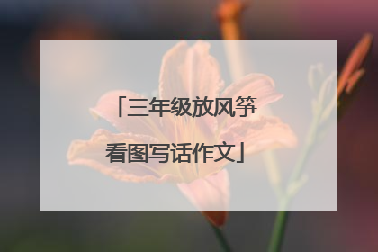 三年级放风筝看图写话作文