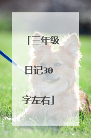 三年级日记30字左右