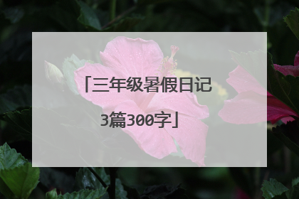三年级暑假日记3篇300字