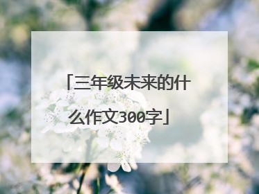 三年级未来的什么作文300字