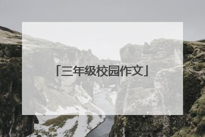 三年级校园作文