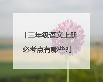 三年级语文上册必考点有哪些?