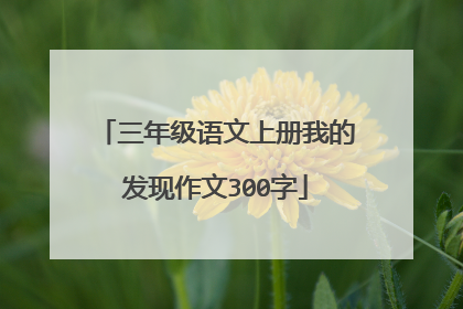 三年级语文上册我的发现作文300字