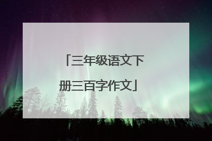 三年级语文下册三百字作文