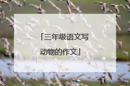 三年级语文写动物的作文