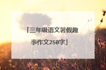 三年级语文暑假趣事作文250字