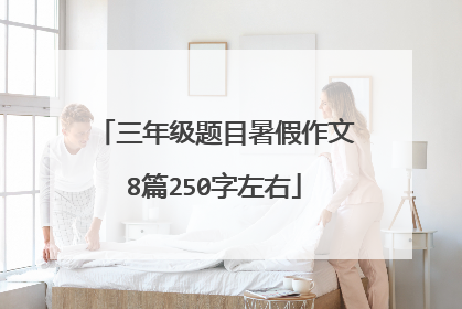 三年级题目暑假作文8篇250字左右