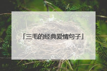 三毛的经典爱情句子