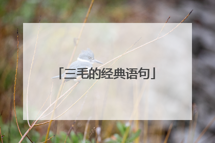 三毛的经典语句