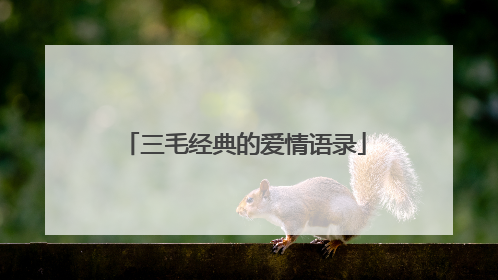 三毛经典的爱情语录