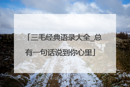 三毛经典语录大全_总有一句话说到你心里