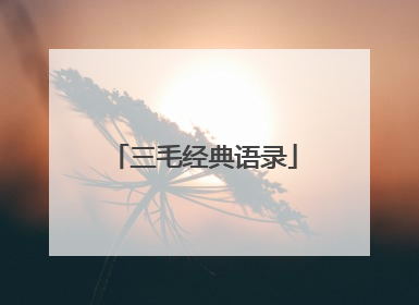 三毛经典语录