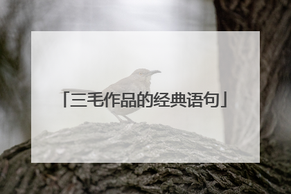 三毛作品的经典语句