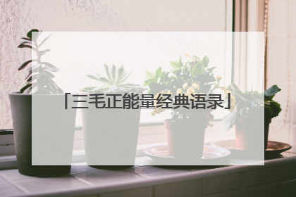 三毛正能量经典语录