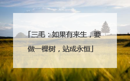 三毛:如果有来生,要做一棵树,站成永恒