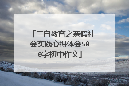三自教育之寒假社会实践心得体会500字初中作文