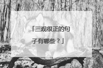 三观很正的句子有哪些?