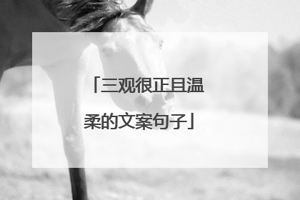 三观很正且温柔的文案句子