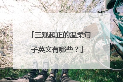 三观超正的温柔句子英文有哪些?