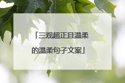 三观超正且温柔的温柔句子文案