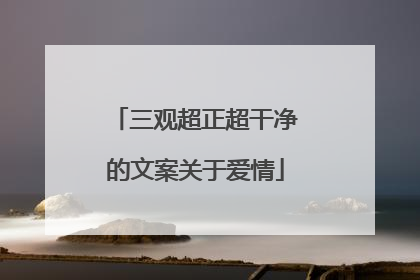 三观超正超干净的文案关于爱情