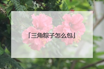 三角粽子怎么包