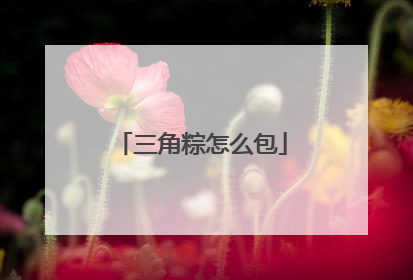 三角粽怎么包