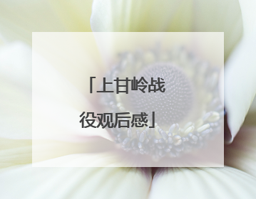 上甘岭战役观后感