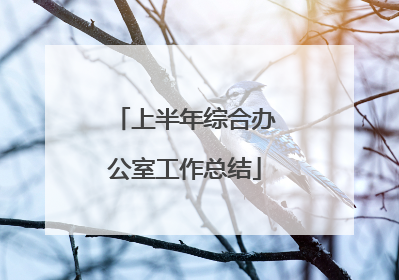 上半年综合办公室工作总结