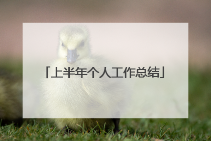 上半年个人工作总结
