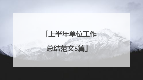 上半年单位工作总结范文5篇