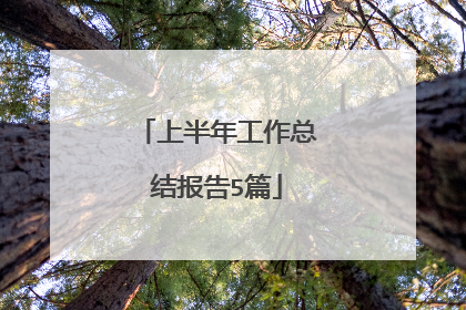 上半年工作总结报告5篇