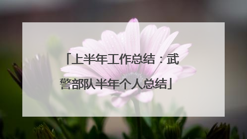 上半年工作总结:武警部队半年个人总结