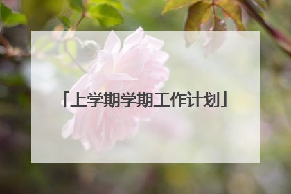 上学期学期工作计划