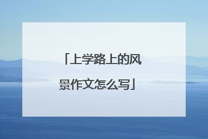 上学路上的风景作文怎么写