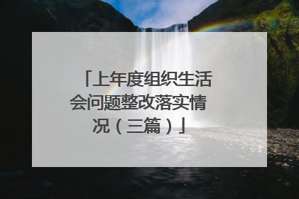 上年度组织生活会问题整改落实情况(三篇)