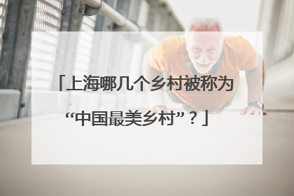 上海哪几个乡村被称为“中国最美乡村”？