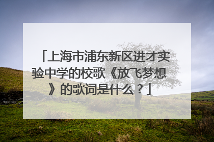 上海市浦东新区进才实验中学的校歌《放飞梦想》的歌词是什么?