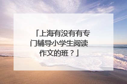 上海有没有有专门辅导小学生阅读作文的班？